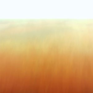 Autumn Grass