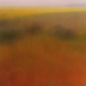 Canola Field